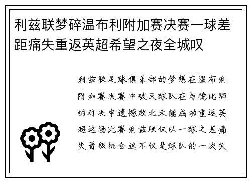利兹联梦碎温布利附加赛决赛一球差距痛失重返英超希望之夜全城叹 利兹联梦碎温布利附加赛决赛一球差距痛失重返英超希望之夜全城叹